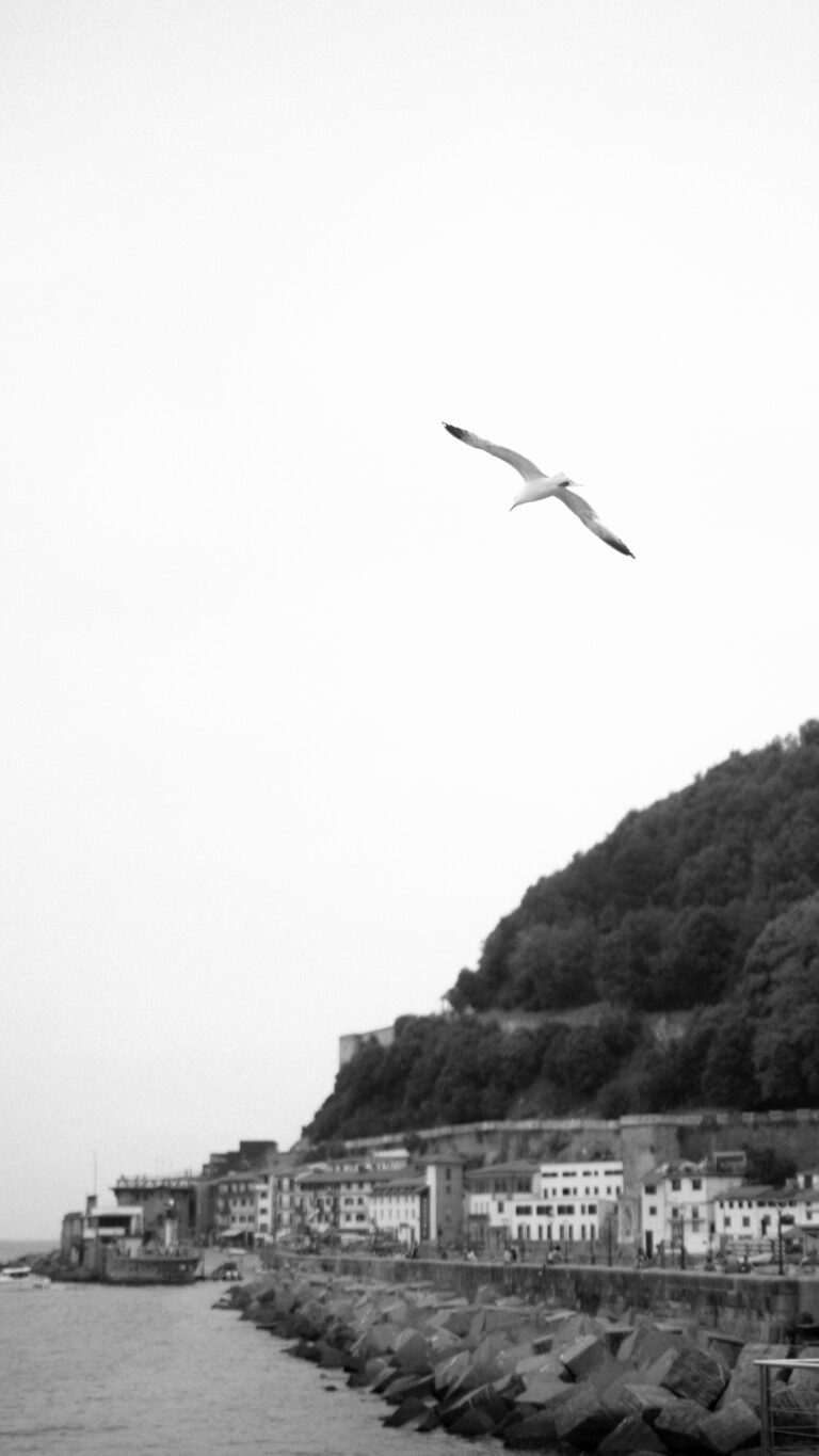 Jon Santamaria Fotógrafo de bodas en San Sebastián