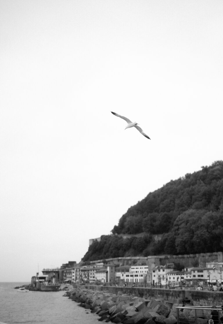 Jon Santamaria Fotógrafo de bodas en San Sebastián